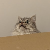 CUBEIFY