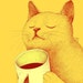 Buyer Avatar