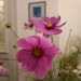 Ina8Floravintage