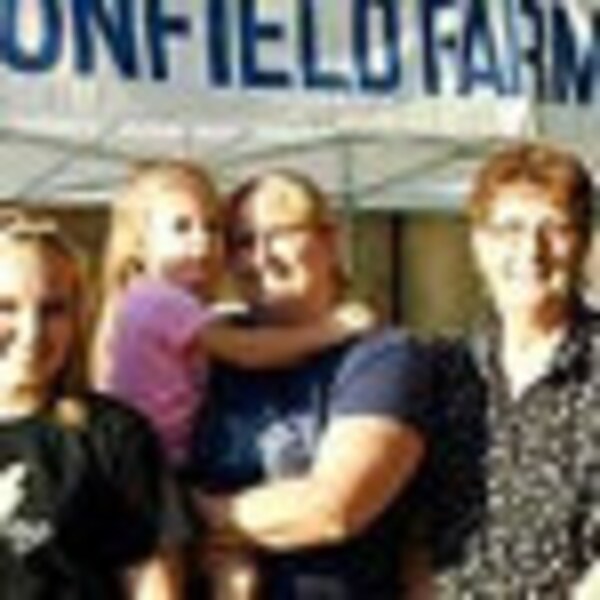 Dragonfly Whisk Etsy