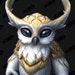 Buyer Avatar