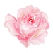 PeonyPrintableDesign