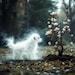 AspiringAshes