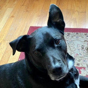 Jamaica Clothes for Women Jamaica Woman Shirt for Jamaican Girl Jamaica