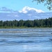 llamberski