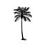 PalmTreesandParadise