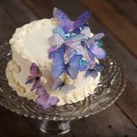 Sugarbutterflies