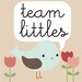 teamlittles