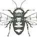 JacobandBee