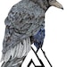AsatruApothecary