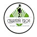thecharmingfrog