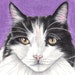 Nicky Cooper avatar