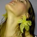 Kimberly Gessner