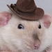 Buyer Avatar