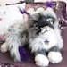 Buyer Avatar