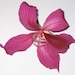 FlowerLeafStore