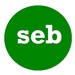 seb avatar