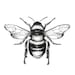 Buyer Avatar
