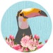CraftyToucanShop