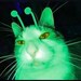 Buyer Avatar