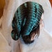 Terri Flynn avatar