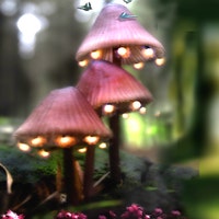 bewilderandpine