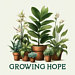 Growing Hope Seeds
