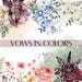 Vows In Colors