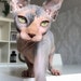 Buyer Avatar