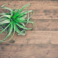 VerticalGardensCo