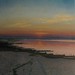Iain Rayner