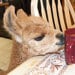Memory Ln Antiques avatar