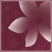 designswdistinction