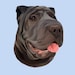 Buyer Avatar