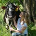 The Cow's Coop