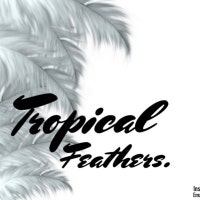 TropicalFeathersAU