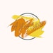 DesignAyachi