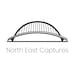 NorthEastCaptures