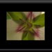 Heather Clements avatar