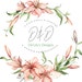 Deitrice Wright Koetter
