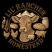 LilRancherQuilts