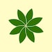 Selene Supply