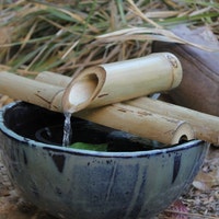 GommeBamboo