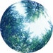 Buyer Avatar