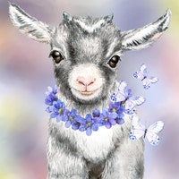 WildFarmer