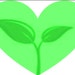 Tiffany Orick avatar
