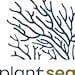 PlantSeaUK