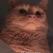 Buyer Avatar