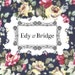 Edy and Bridge