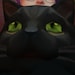 VoidKitty